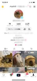 フォロワー1600人越え ハムスターアカウント ライブ可能