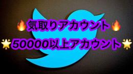 【💥激安💥】 Twitter 気取り垢 フォロワー約5万人アカウント 🔥即対応&最安値🔥