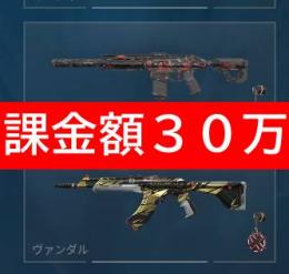 【早い者勝ち🔥値下げok】30万課金 3年所有 ✨️champions2021,22,23