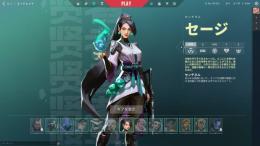 プラチナ メアパス＆名前変更可能  日本垢