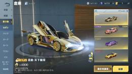 精鋭11引退垢　格安！！黒レイあり