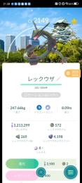 このレックウザを購入 Rayquaza