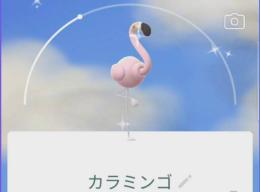 🔥✨色違いカラミンゴ、色違いミュウツー (メガ背景)