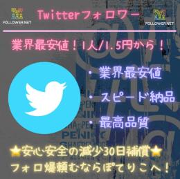 【業界最安値・最速】Twitterフォロ爆　4500人　高品質　減少30日補償　⭐︎増加動画あり⭐︎
