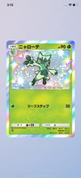 色違い ニャローテ 2枚セット