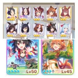 キタサン完凸フクキタル凸3フラワー凸2バクシン凸2 進行垢④