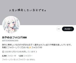 【高アクティブ】日本人フォロワー1219人 Noシャドウバン 気取り垢 自動納品 即納品