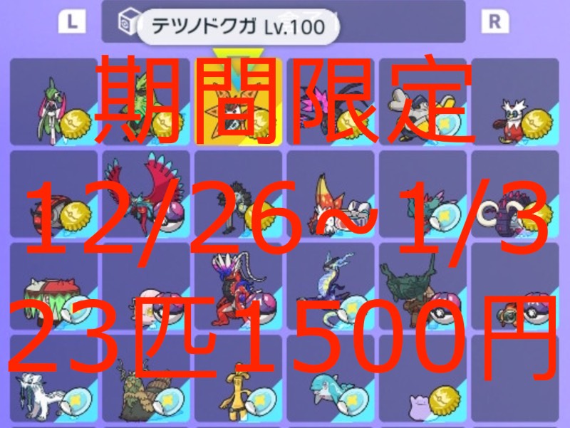 ポケモンsv 伝説23匹セット 6v Lv100 努力値完璧 国産 色違い ポケモンsv ゲームクラブ