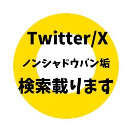 100%検索表示されるTwitter(X)アカウント✨ シャドウバンなし 