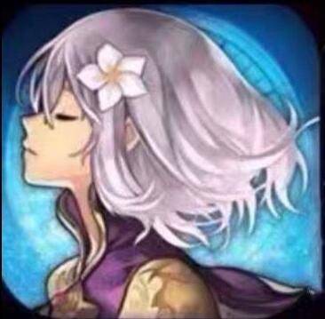 クロノスの石個以上 星5選択チケット1 3枚 5星2体 初期アカウント 即時対応 アナデン ゲームクラブ