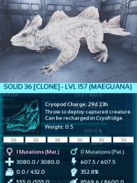 公式pve 36統一メイグアナ　クローン