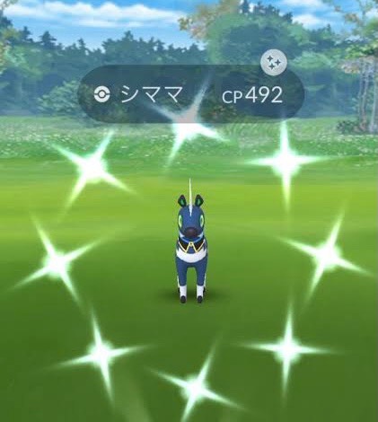 シママ色違い捕獲代行 東京産 チート無し ポケモンgoのアカウント売買サイト