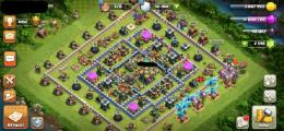 🌟未連携🌟TH14🌟80.80.55.30.BM30🌟ペット3.3.10.6🌟