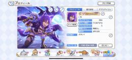 プリンセスコネクト 引退品