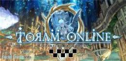 （直接購入）🌙5億 スピナ Toram🌙 他の数は対応可能である🌙