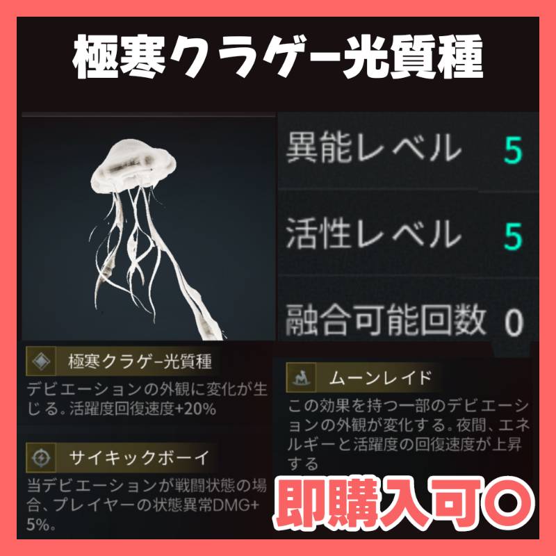 出品画像