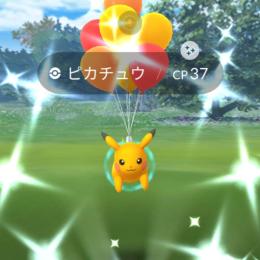 沖縄産色違い風船ピカチュウ♂ アカウント販売