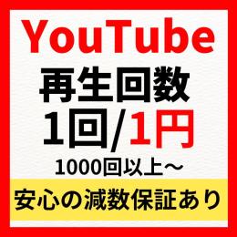 如月様向け専用出品　YouTube再生回数2万回増加サービス👍減少しても保証付きで安心👌