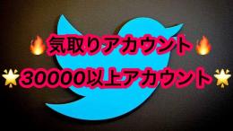 【💥激安💥】 Twitter 気取り垢 フォロワー約3万人アカウント 🔥即対応&最安値🔥