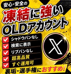 ⭐︎10個セット⭐︎ OLDアカウントX【検索表示可・リプバンなし・シャドウバンなし】