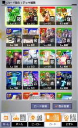 UR4凸24枚 主要キャラメダル厳選済み