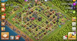 Th17