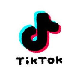 【最安値・高品質】【★メール認証済★】TikTokアカウント5個セット★即購入OK
