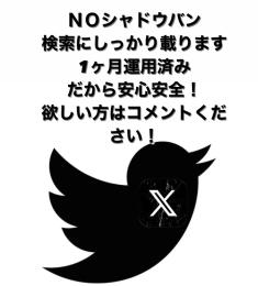 即購入OK！ シャドウバン無しの運用済みアカウント