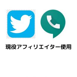 【1個-選択】GoogleVoice