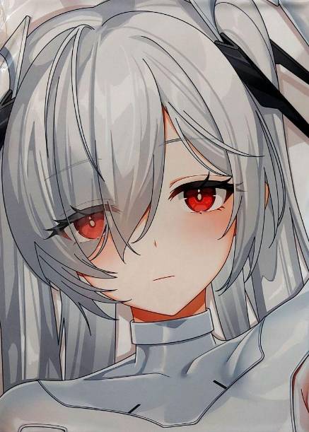シンデレラ+ 石80000+ガチャチケット900枚+SSR14～25体｜メガニケ