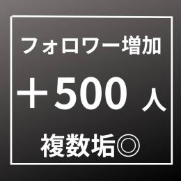 フォロワー増加 500人〈安心365日間保証〉〈複数垢◎〉〈お振り分けアカウント上限なし〉