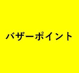 バザーポイント　140000pt　20000円
