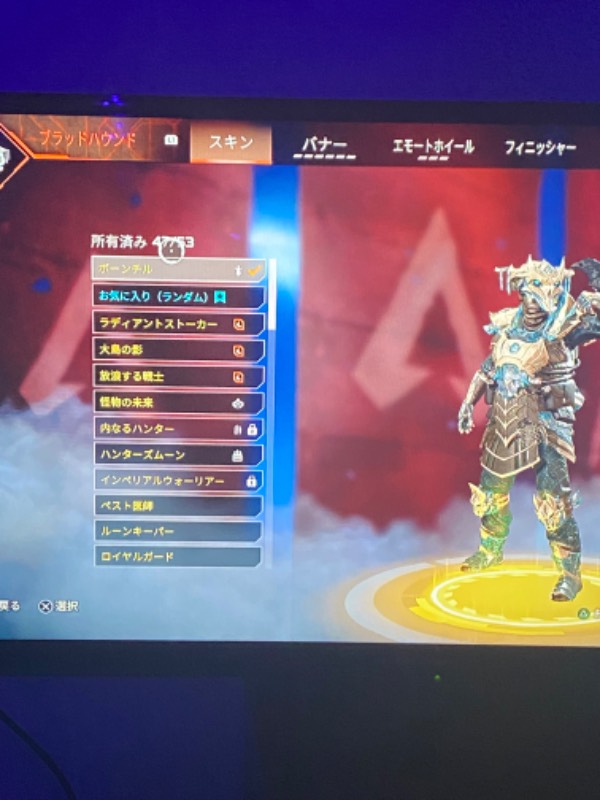 出品画像