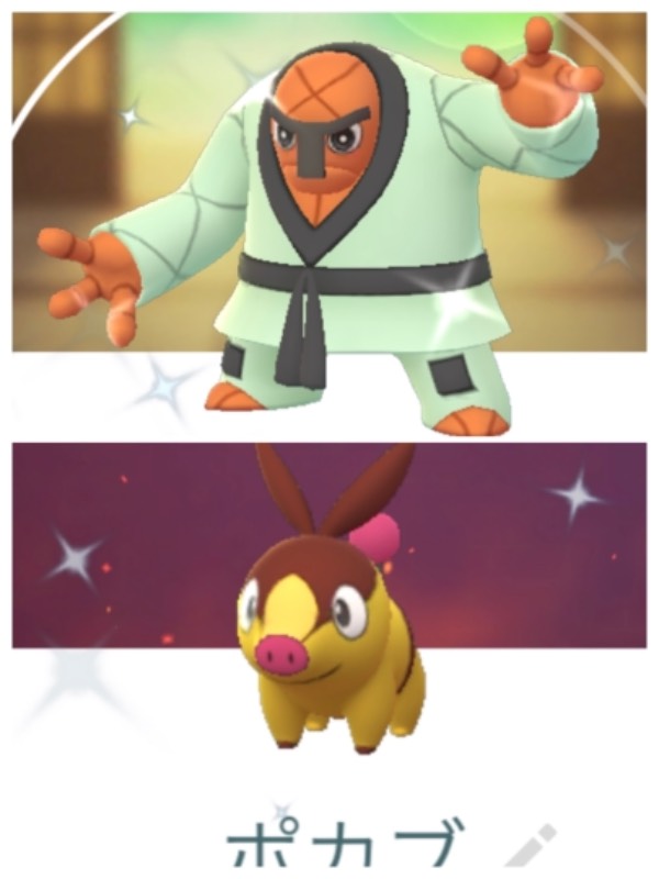 ナゲキ 色違い アカウント販売 5 ポケモンgo ゲームクラブ