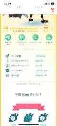 TL44 色違い100 5体　個体値100 190体