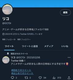 日本人相互垢 ff100↑ スタートアップ垢 オールグリーン