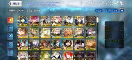 FGO Fate/Grand Order 引退アカ　星5宝具5複数　