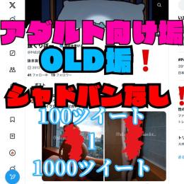 【🔥在庫残りわずか🔥】【アダルト垢❗️】🌟シャドバンなし OLD垢‼️