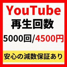 【最安値】YouTubeチャンネル再生回数5000回増加サービス👍減少しても保証付きで安心👌