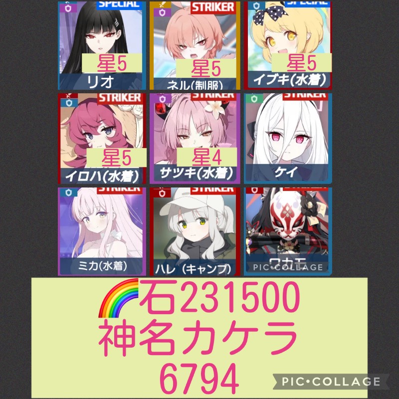 出品画像