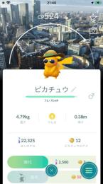 ひろひろさま専用