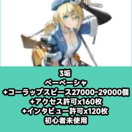 3垢 ペーペーシャ+コーラップスピース27000-29000個+アクセス許可x160枚+インタビュー