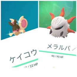 東京産色違いケイコウオ 通常東京産メラルバ　アカウント販売