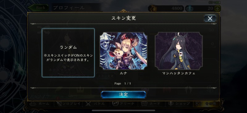出品画像