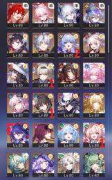 【引退アカウント】姫子・旅立ち+餅 緋英 爻光 銀狼LV.999 キャストリス ヒアンシー1凸