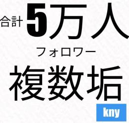 【長期！100日保証】Instagramフォロワー5万人/複数垢・可kny