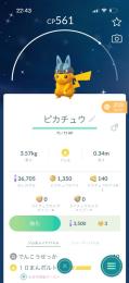 🔥キラ確定交換🔥 色違いルカリオ帽子ピカチュートレード