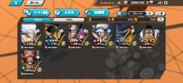 【引退垢】ニカLv100＆ゾロサンLv100！超フェス多数・即購入可