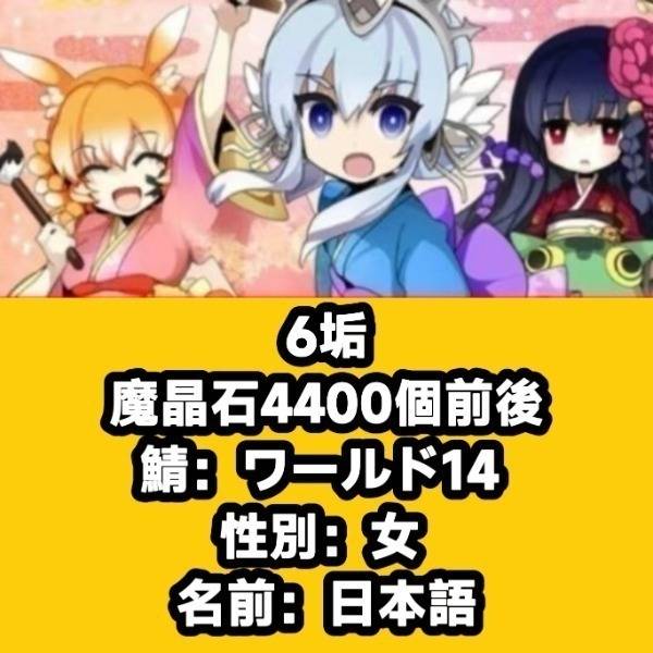 出品画像