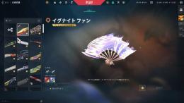valorant 引退垢　イグナイトファン　champions2023 arcaneセットあり